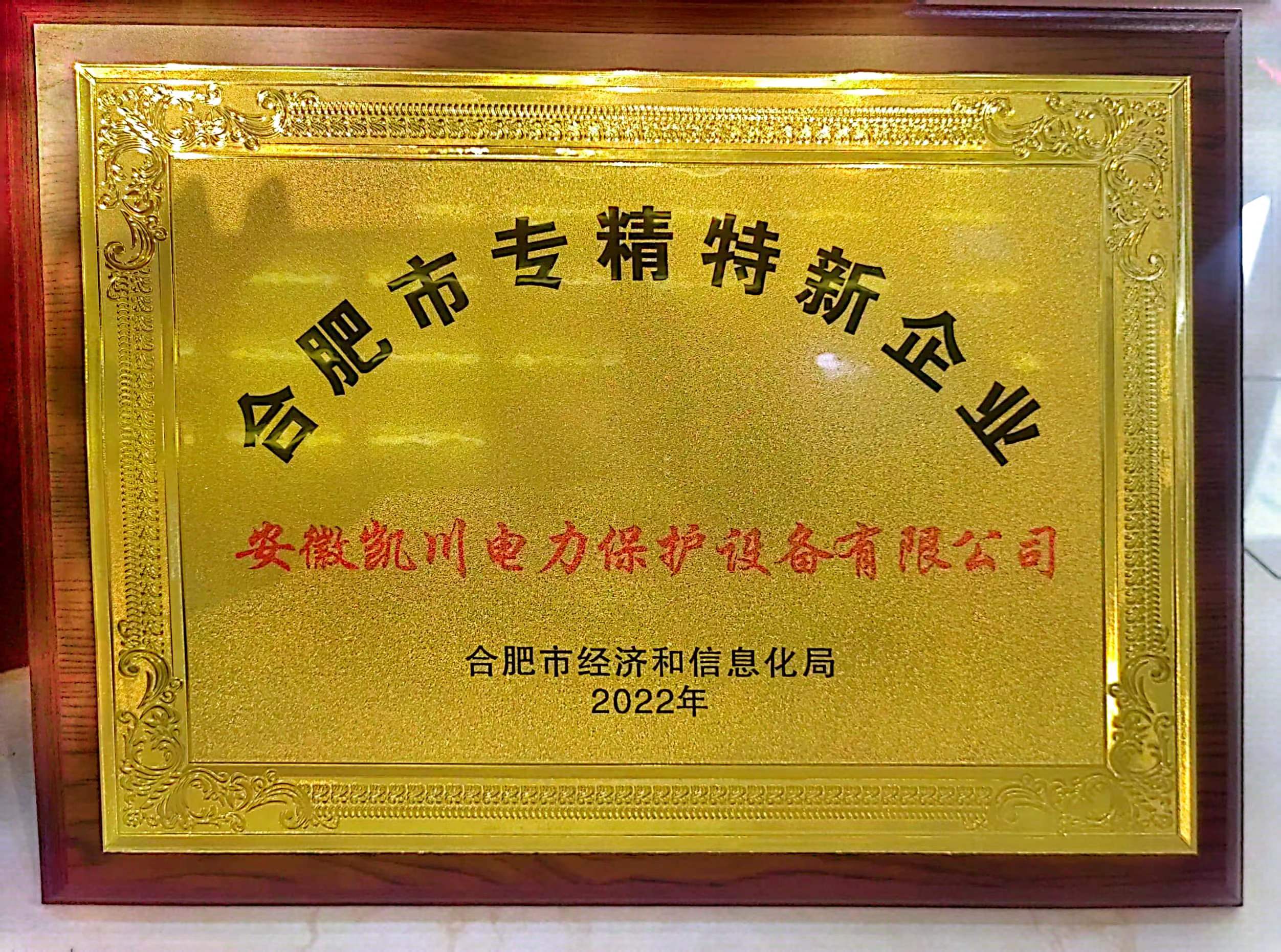 合肥市“專精特新”企業(yè)